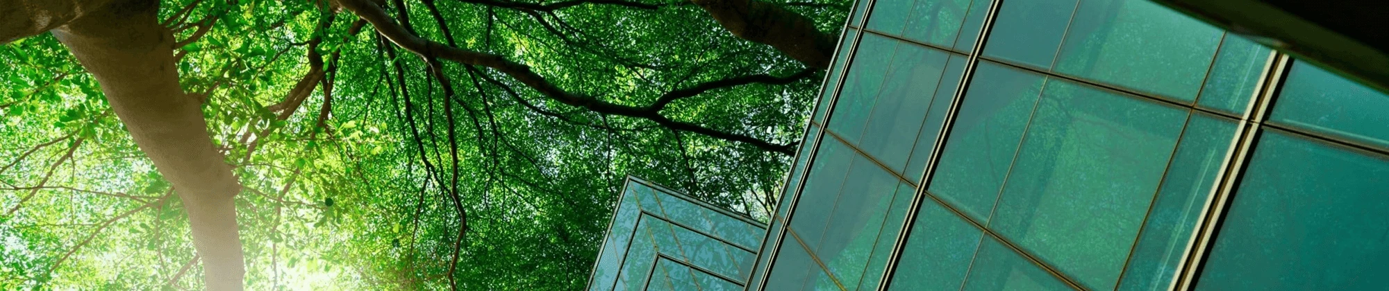 Vista desde abajo de las copas de árboles frondosos junto a la fachada acristalada de un edificio moderno, destacando la integración entre arquitectura y entorno natural.