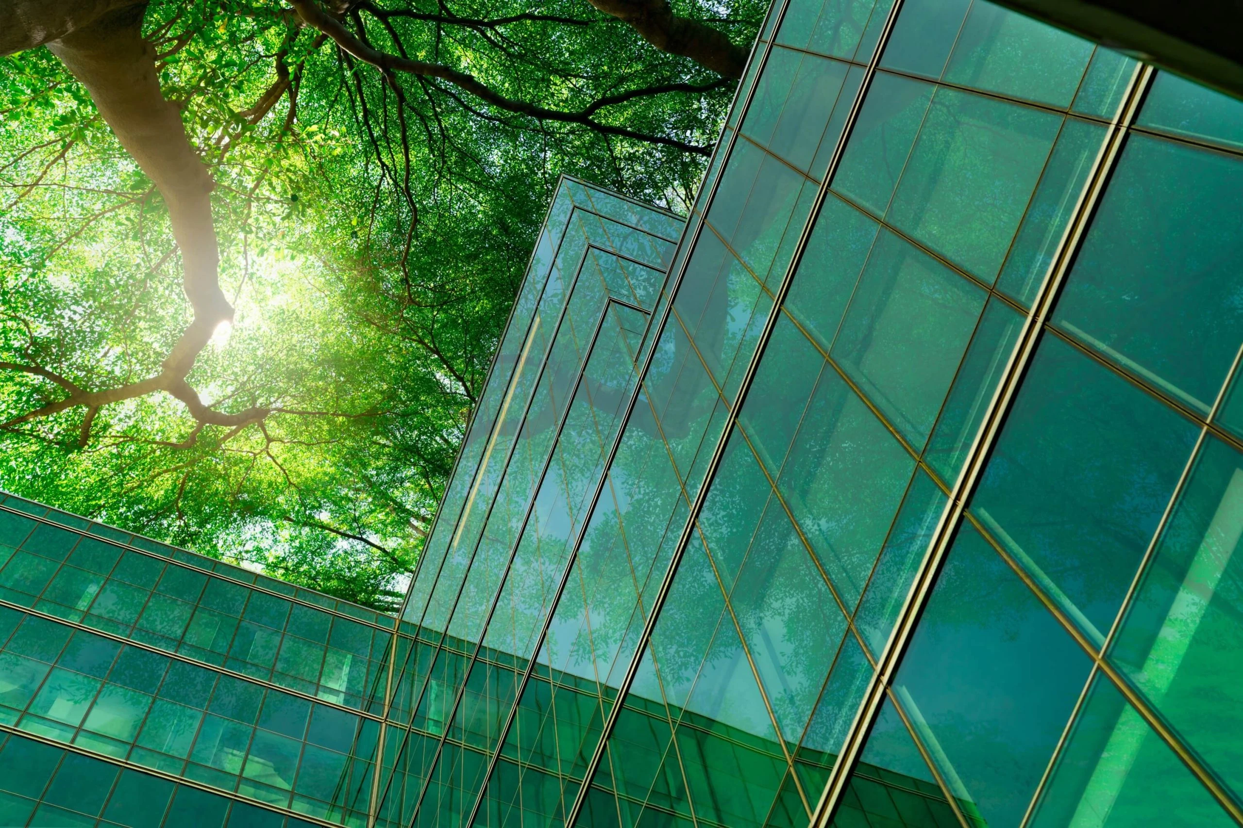 Vista desde abajo de las copas de árboles frondosos junto a la fachada acristalada de un edificio moderno, destacando la integración entre arquitectura y entorno natural.