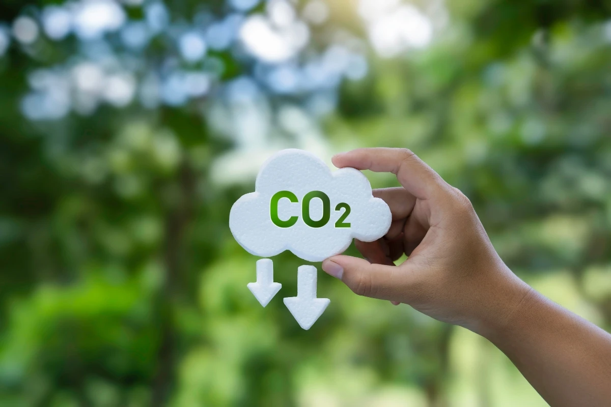Mano sosteniendo un símbolo en forma de nube con la inscripción “CO₂” y dos flechas hacia abajo, sobre un fondo desenfocado de vegetación, representando la reducción de emisiones de dióxido de carbono.